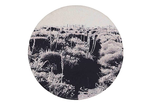 İpek yolu-2, tuval üzeri yağlıboya, 70 cm çapında, 2016